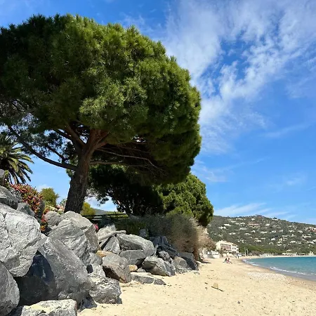 Appartement Joli Avec Terrasse Le Lavandou